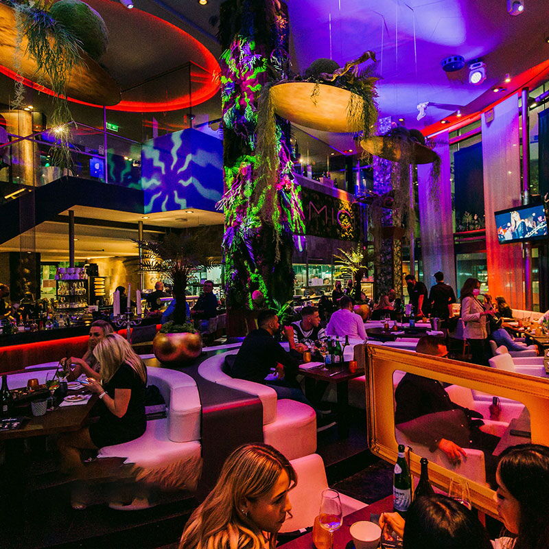 Amici Stuttgart - Impressionen