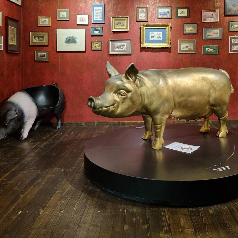 Schweinemuseum - Impressionen